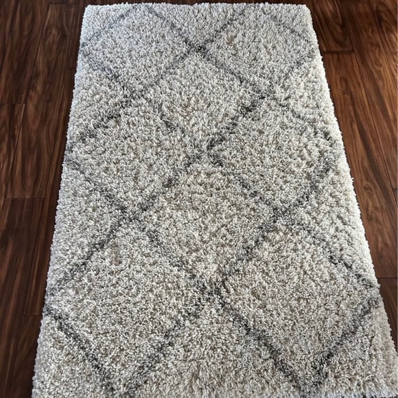 Shag Rug - Picture 1 of 4
